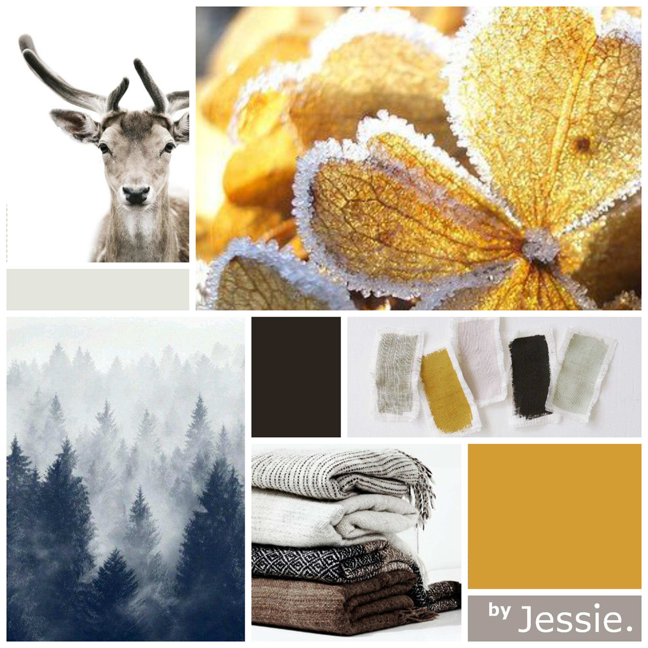 Portfolio byJessie. Moodboard Naturel Ochre