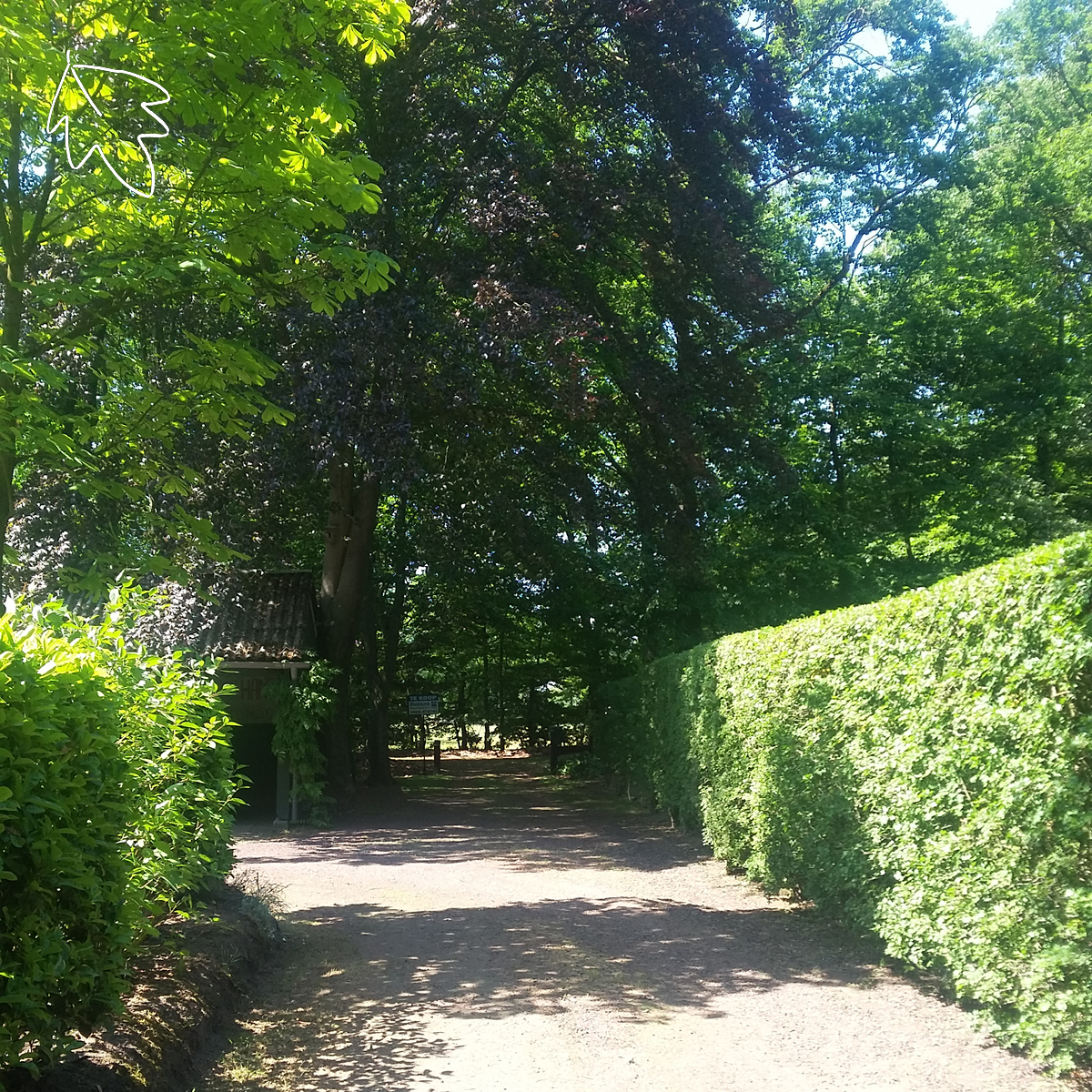 zandweg HetHoutenHuisje Blog byJessie.
